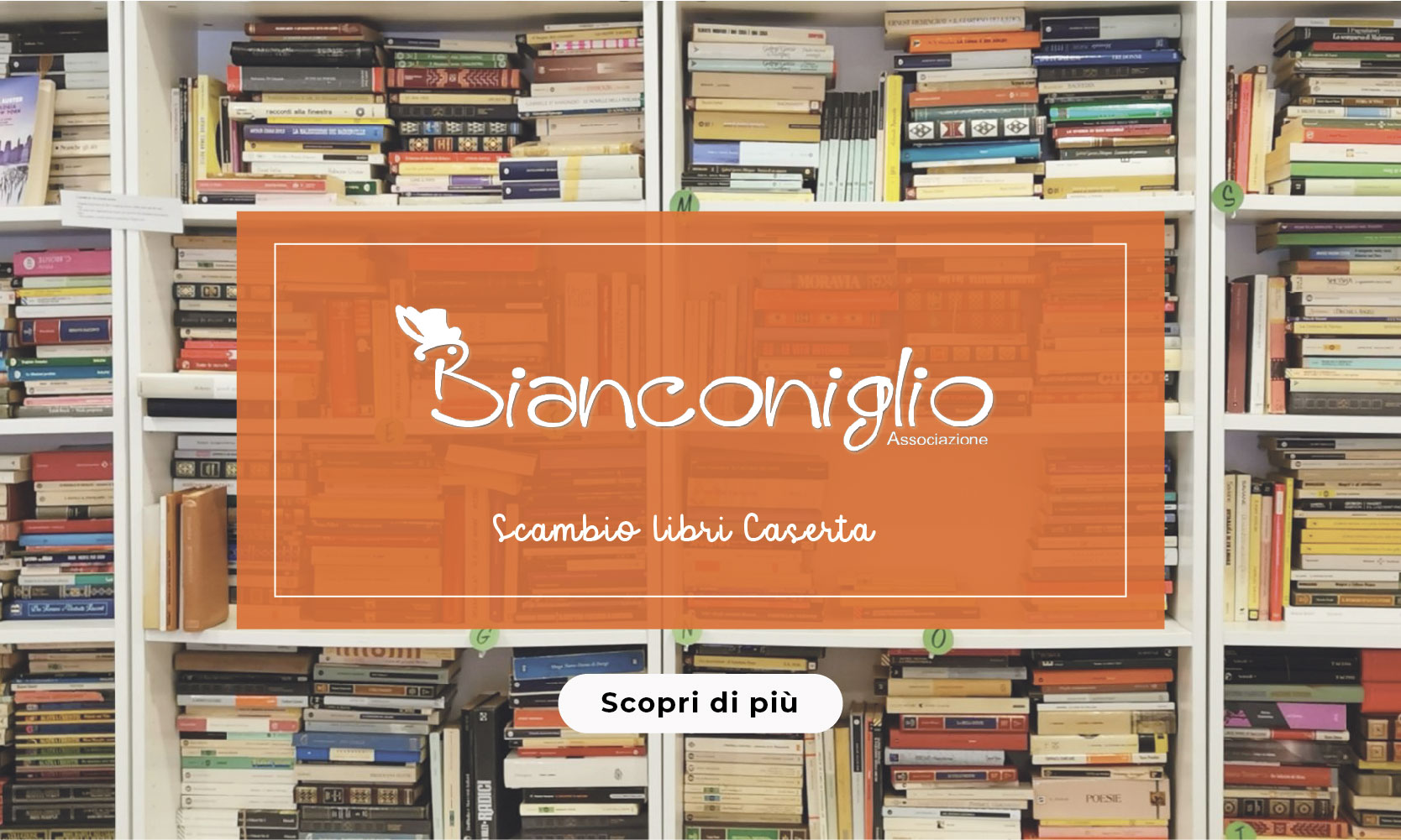Associazione Bianconiglio Caserta